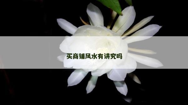 買商鋪風水有講究嗎
