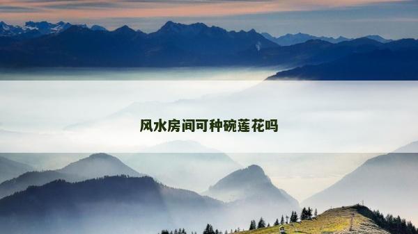 風(fēng)水房間可種碗蓮花嗎
