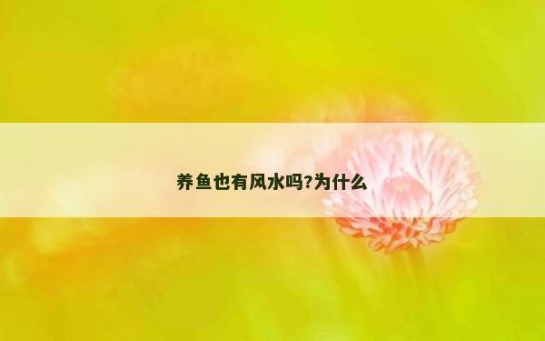 養(yǎng)魚也有風(fēng)水嗎?為什么 養(yǎng)魚也有風(fēng)水嗎?為什么