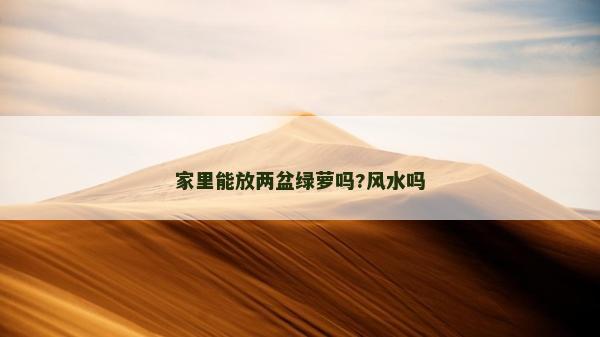 家里能放兩盆綠蘿嗎?風水嗎