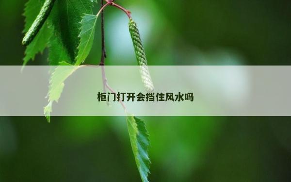 柜門打開會擋住風水嗎