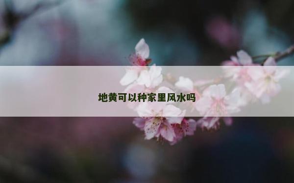 地黃可以種家里風(fēng)水嗎