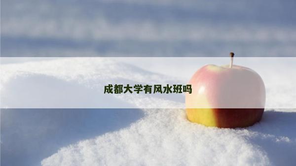 成都大學有風水班嗎