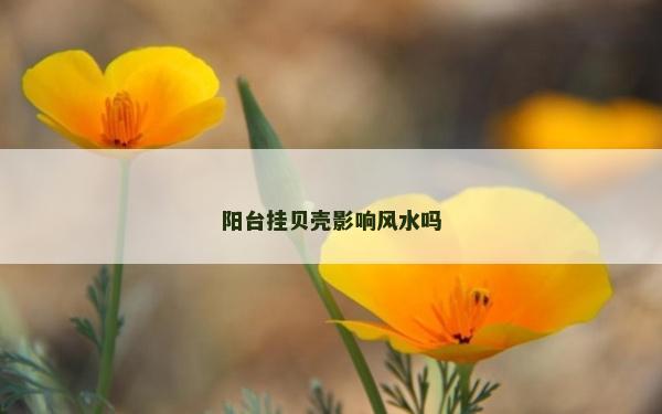 陽臺掛貝殼影響風水嗎