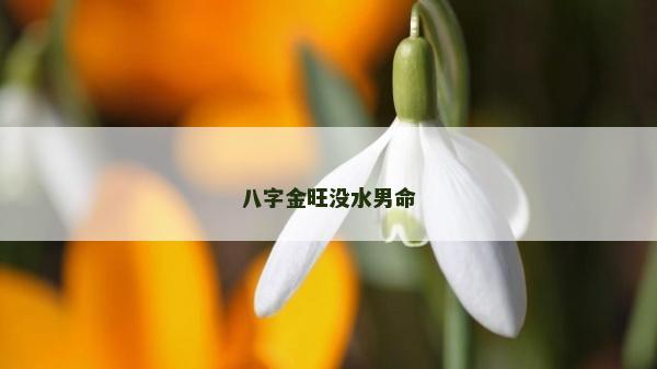 八字金旺沒水男命