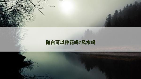 陽臺可以種花嗎?風水嗎