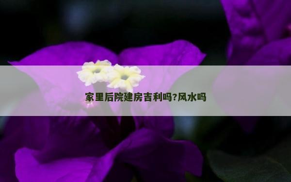 家里后院建房吉利嗎?風(fēng)水嗎