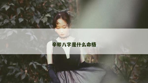 辛卯八字是什么命格 辛卯八字是什么命格