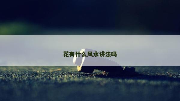 花有什么風水講法嗎