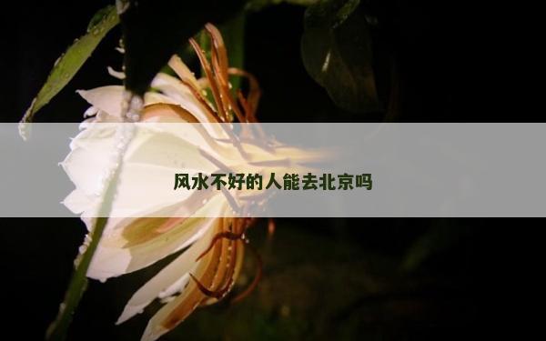 風(fēng)水不好的人能去北京嗎