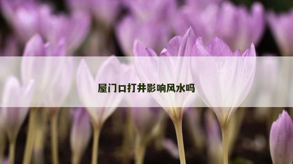 屋門(mén)口打井影響風(fēng)水嗎 屋門(mén)口打井影響風(fēng)水嗎