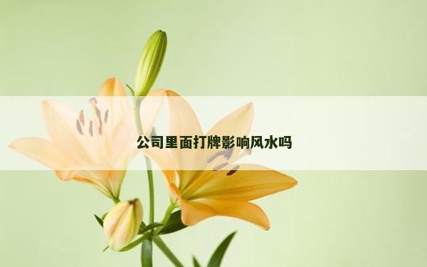 公司里面打牌影響風水嗎