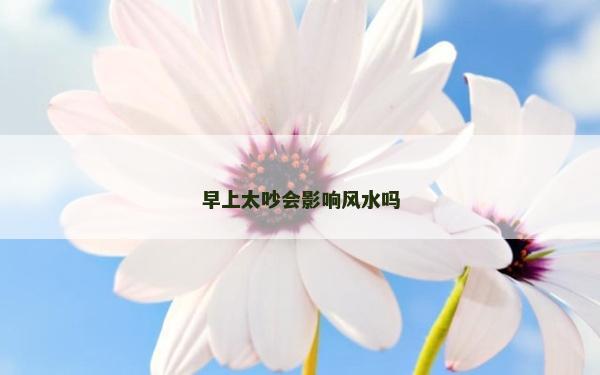 早上太吵會影響風水嗎