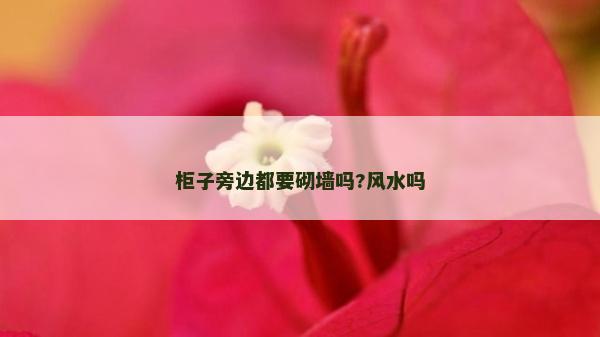 柜子旁邊都要砌墻嗎?風水嗎