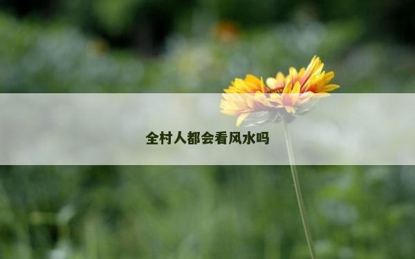 全村人都會(huì)看風(fēng)水嗎