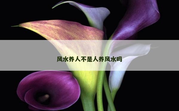 風(fēng)水養(yǎng)人不是人養(yǎng)風(fēng)水嗎