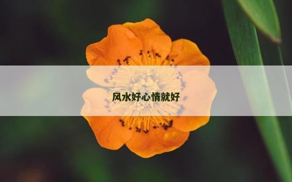 風水好心情就好