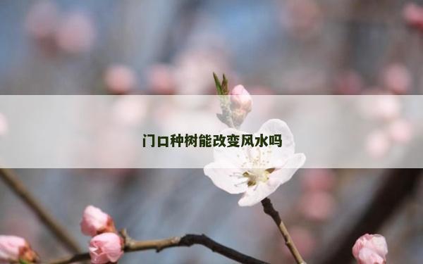 門口種樹能改變風水嗎
