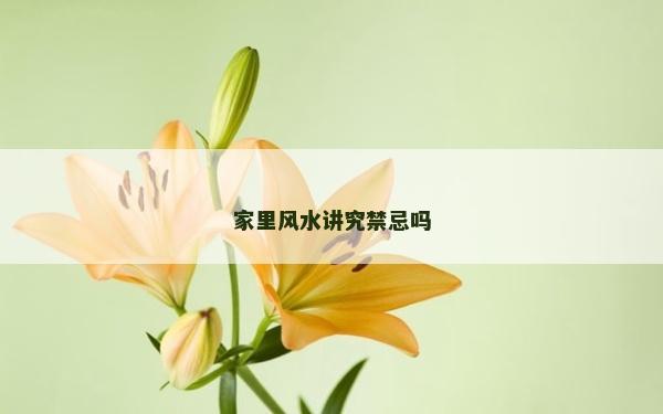 家里風水講究禁忌嗎