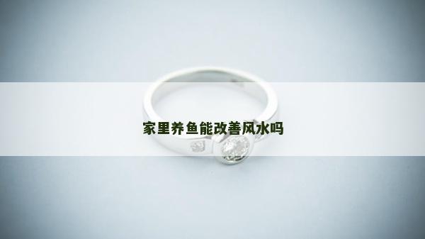 家里養魚能改善風水嗎