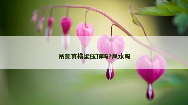 吊頂算橫梁壓頂嗎?風水嗎