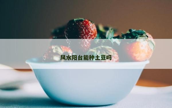 風水陽臺能種土豆嗎