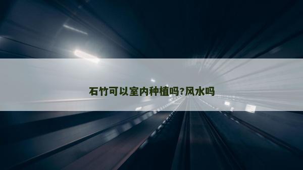 石竹可以室內(nèi)種植嗎?風(fēng)水嗎