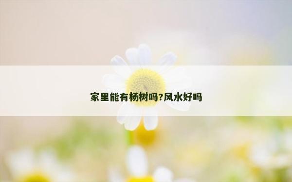 家里能有楊樹(shù)嗎?風(fēng)水好嗎