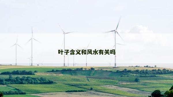 葉子含義和風水有關嗎