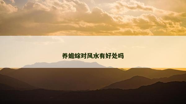 養(yǎng)蟾蜍對(duì)風(fēng)水有好處嗎