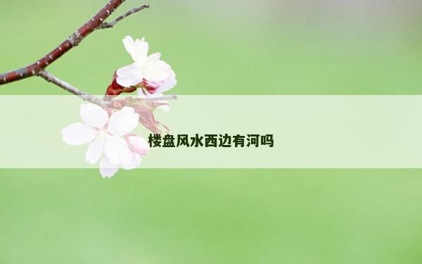 樓盤風水西邊有河嗎