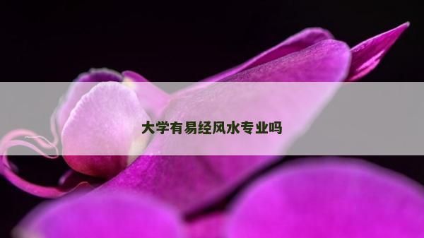 大學有易經風水專業嗎 大學有易經風水專業嗎