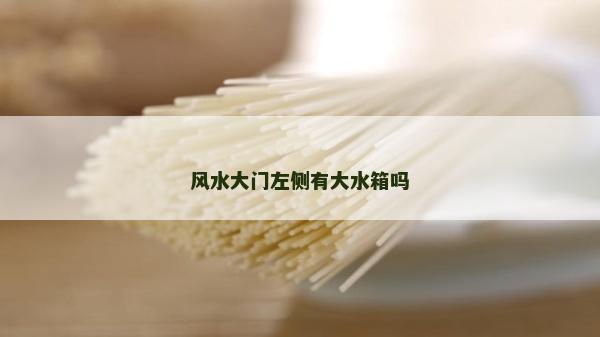 風水大門左側有大水箱嗎