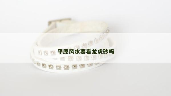 平原風水要看龍虎砂嗎 平原風水要看龍虎砂嗎