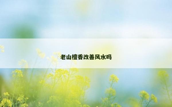老山檀香改善風水嗎