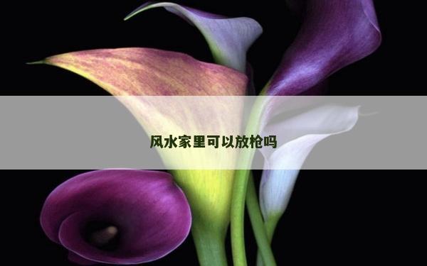 風水家里可以放槍嗎