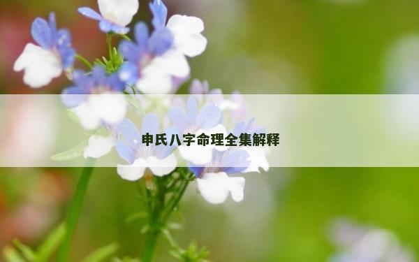 申氏八字命理全集解釋