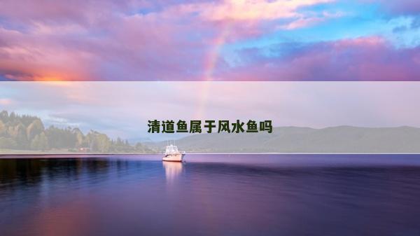 清道魚屬于風水魚嗎