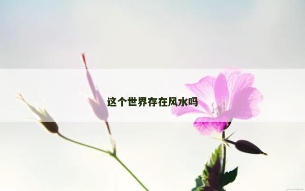 這個世界存在風水嗎 這個世界存在風水嗎