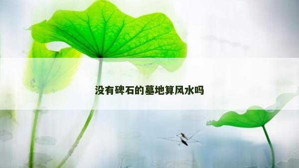 沒有碑石的墓地算風水嗎