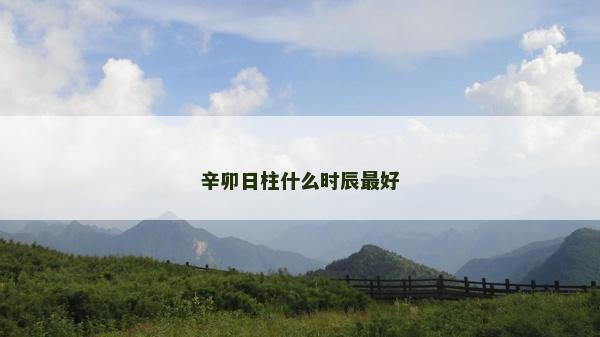 辛卯日柱什么時辰最好 辛卯日柱什么時辰最好