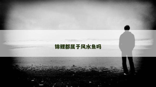 錦鯉都屬于風水魚嗎