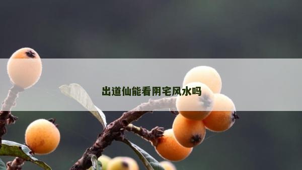 出道仙能看陰宅風水嗎