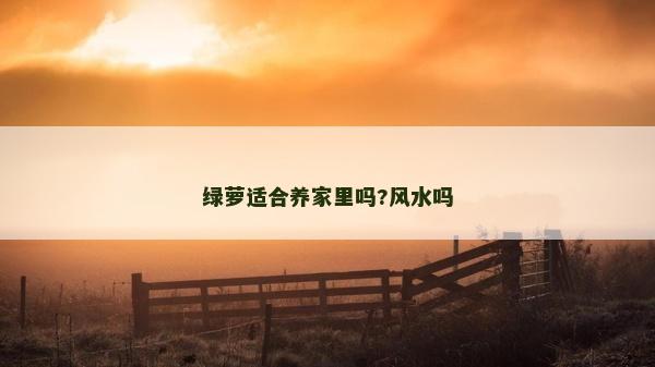 綠蘿適合養家里嗎?風水嗎