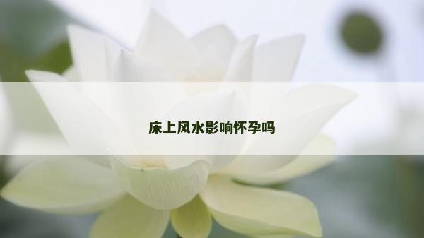床上風水影響懷孕嗎 床上風水影響懷孕嗎
