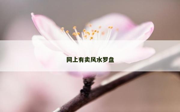 網上有賣風水羅盤
