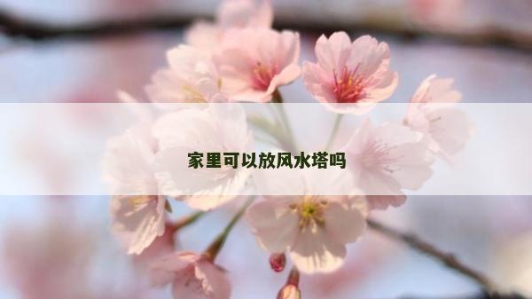 家里可以放風水塔嗎
