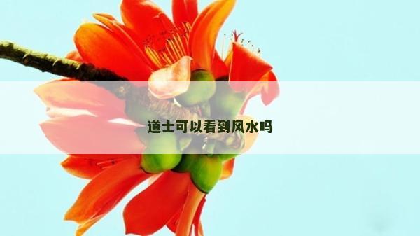 道士可以看到風水嗎
