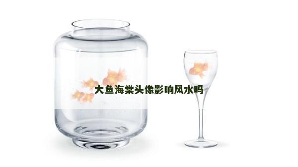 大魚海棠頭像影響風水嗎 大魚海棠頭像影響風水嗎