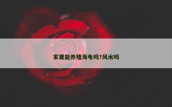 家里能養(yǎng)殖海龜嗎?風(fēng)水嗎 家里能養(yǎng)殖海龜嗎?風(fēng)水嗎